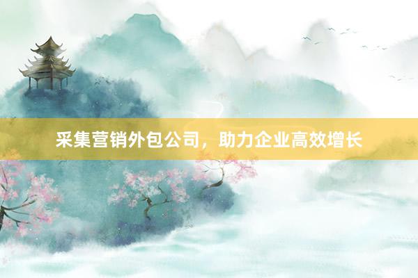 采集营销外包公司，助力企业高效增长