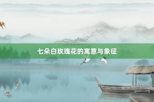 七朵白玫瑰花的寓意与象征
